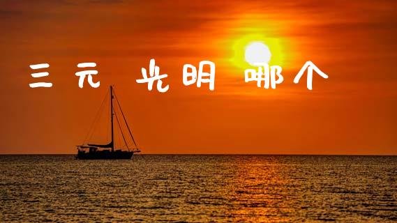 三元 光明 哪个_https://m.jnkyh.com_期货开户条件_第1张