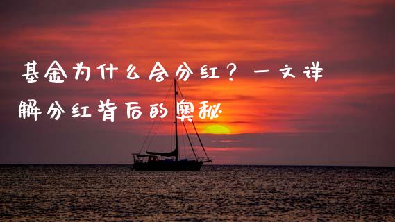 基金为什么会分红？一文详解分红背后的奥秘_https://m.jnkyh.com_股票交易_第1张