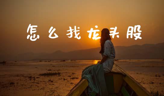 怎么找龙头股_https://m.jnkyh.com_国际原油_第1张