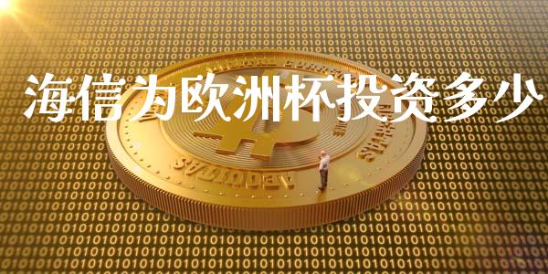 海信为欧洲杯投资多少_https://m.jnkyh.com_国际原油_第1张